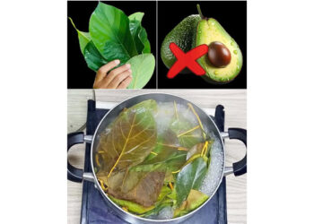 30 Incredible Benefits of Avocado Leaves