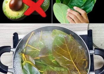 30 Incredible Benefits of Avocado Leaves