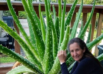 12 Ways to Use Aloe Vera to Heal Your Body