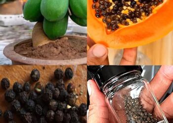 The Surprising Health Benefits of Papaya Seeds: A Natural Powerhouse