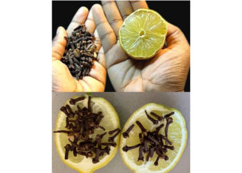 Discover the Powerful Benefits of Clove, Lemon, and Onion: A Natural Combination for Health and Home