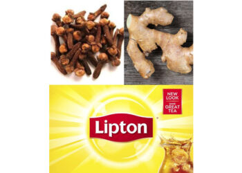 The Powerful Health Benefits of Lipton, Cloves, and Ginger: Why Every Woman Needs This Combo