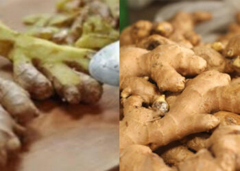 She couldn’t walk and now she runs like a teenager! Cleanse your intestines and liver with ginger