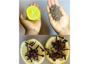 Discover the Powerful Benefits of Clove, Lemon, and Onion: A Natural Combination for Health and Home