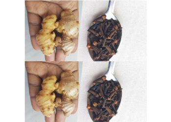 Discover the Powerful Combination of Ginger and Cloves: A Natural Health Boost