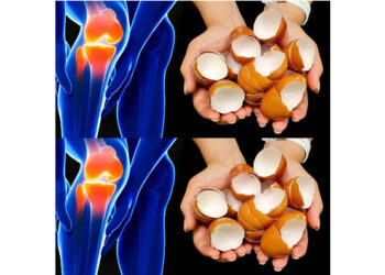 The Remarkable Relief of Eggshells for Knee and Bone Pain